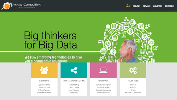Aegis Consulting(US)